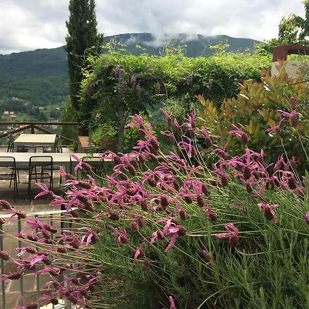 Agriturismo Braccicorti Otel Pieve Fosciana Dış mekan fotoğraf