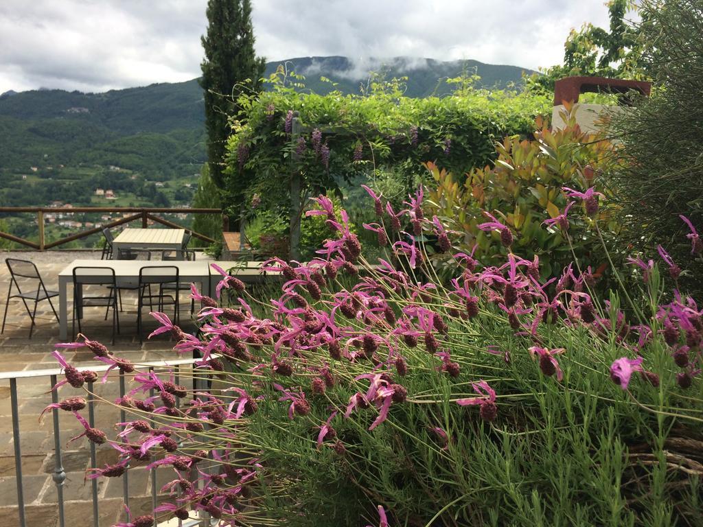 Agriturismo Braccicorti Otel Pieve Fosciana Dış mekan fotoğraf