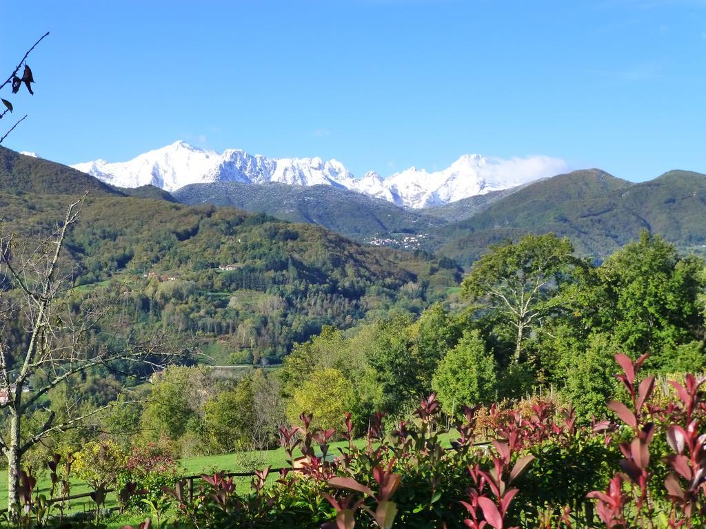 Agriturismo Braccicorti Otel Pieve Fosciana Dış mekan fotoğraf