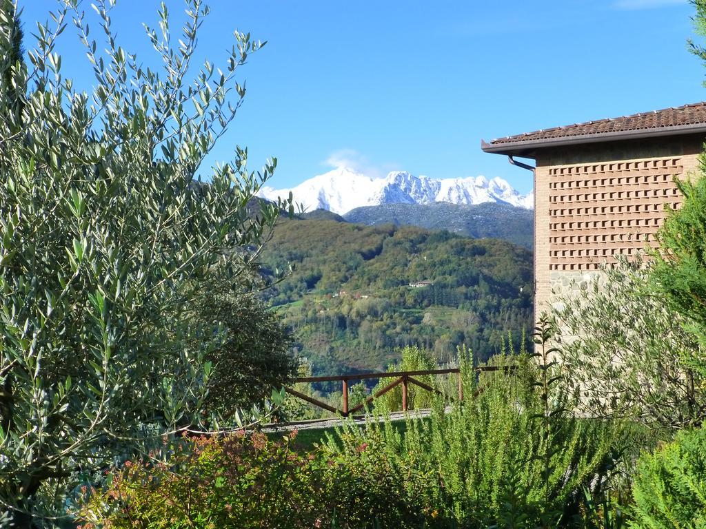 Agriturismo Braccicorti Otel Pieve Fosciana Dış mekan fotoğraf