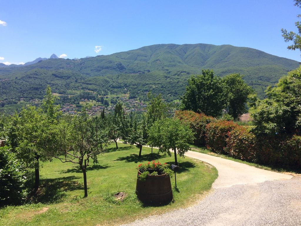 Agriturismo Braccicorti Otel Pieve Fosciana Dış mekan fotoğraf