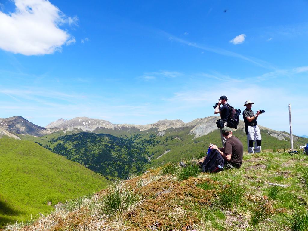 Agriturismo Braccicorti Otel Pieve Fosciana Dış mekan fotoğraf