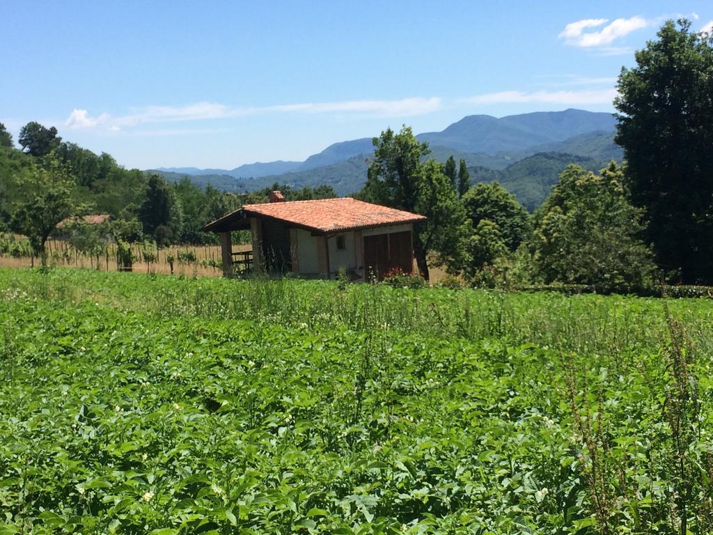 Agriturismo Braccicorti Otel Pieve Fosciana Dış mekan fotoğraf