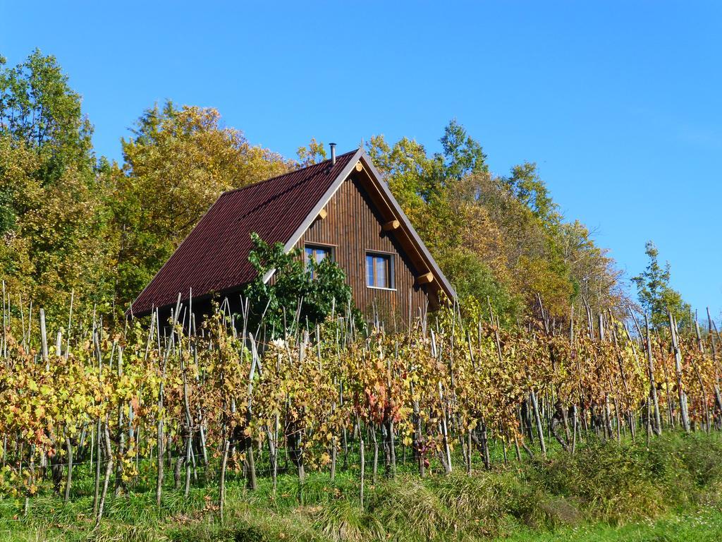 Agriturismo Braccicorti Otel Pieve Fosciana Dış mekan fotoğraf
