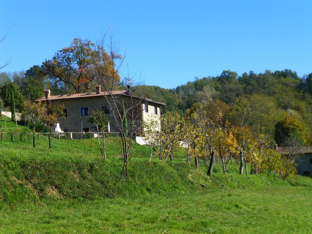 Agriturismo Braccicorti Otel Pieve Fosciana Dış mekan fotoğraf