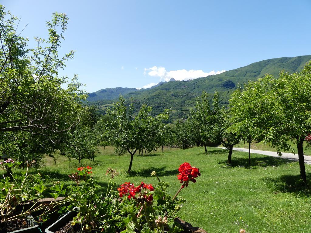 Agriturismo Braccicorti Otel Pieve Fosciana Dış mekan fotoğraf