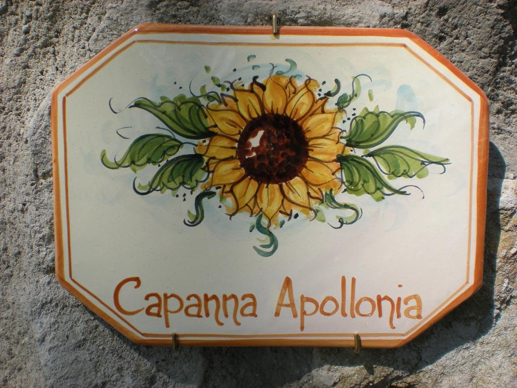 Agriturismo Braccicorti Otel Pieve Fosciana Dış mekan fotoğraf