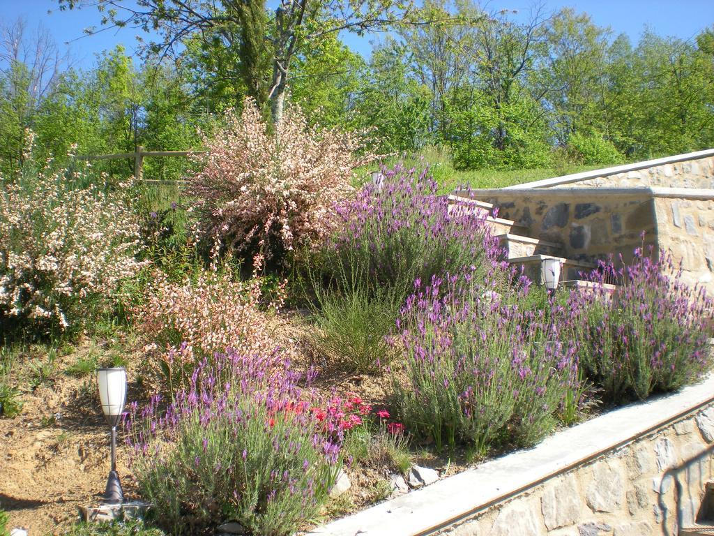 Agriturismo Braccicorti Otel Pieve Fosciana Dış mekan fotoğraf