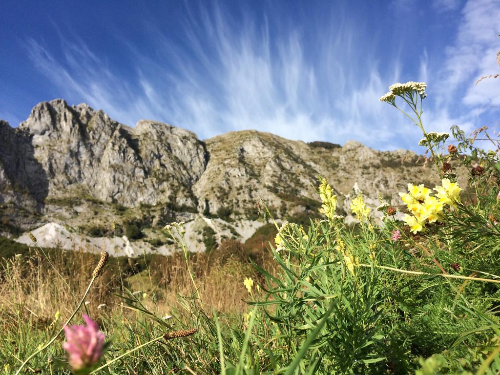 Agriturismo Braccicorti Otel Pieve Fosciana Dış mekan fotoğraf