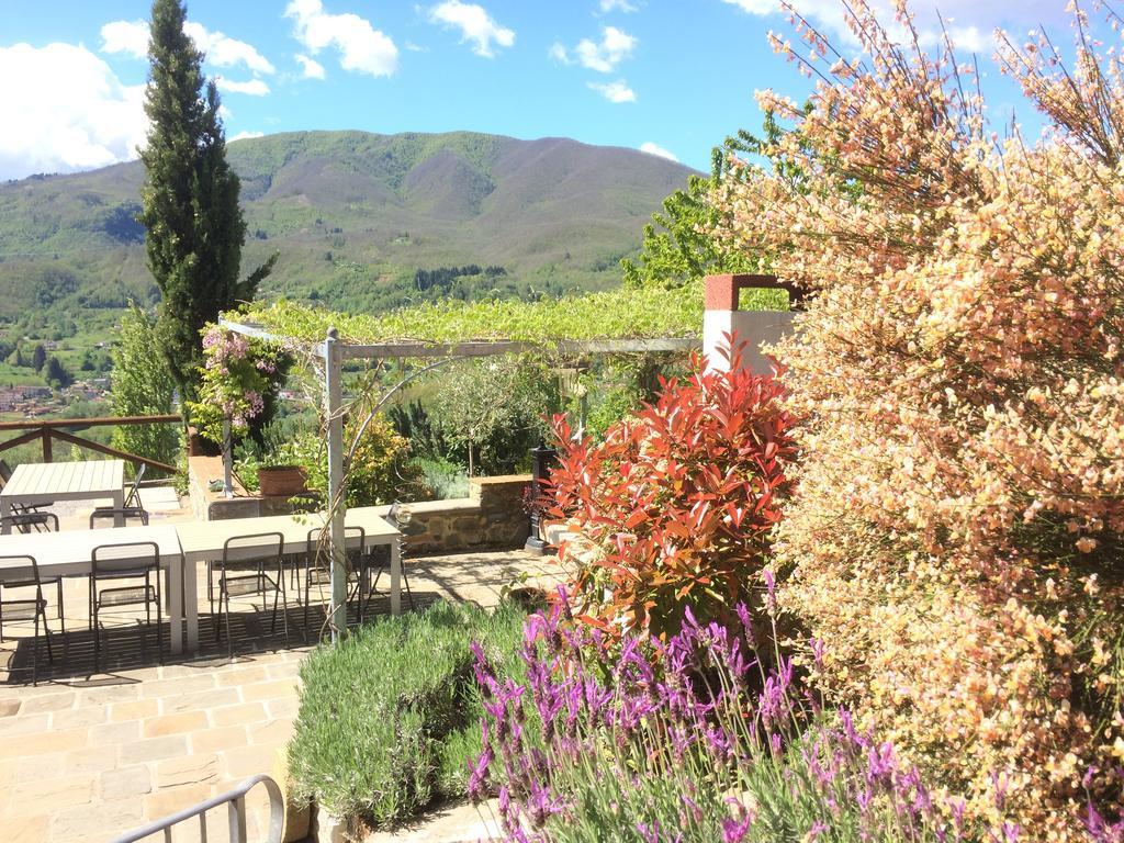 Agriturismo Braccicorti Otel Pieve Fosciana Dış mekan fotoğraf